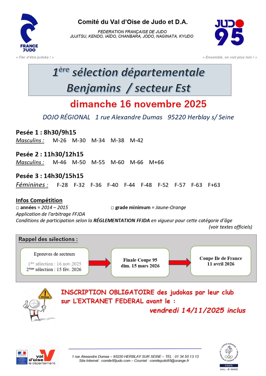 Sélection 1 benjamins : Secteur est 