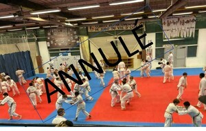 Entraînements Départemental Benjamins-Minimes