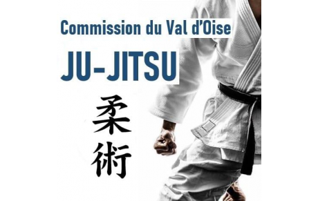 Stage Préparation Championnat d'Europe Jujitsu Cadets et Juniors